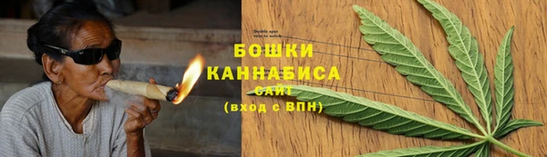 индика Бронницы