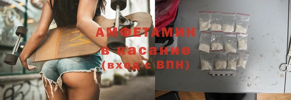 индика Бронницы