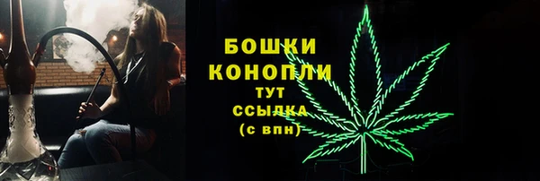 индика Бронницы