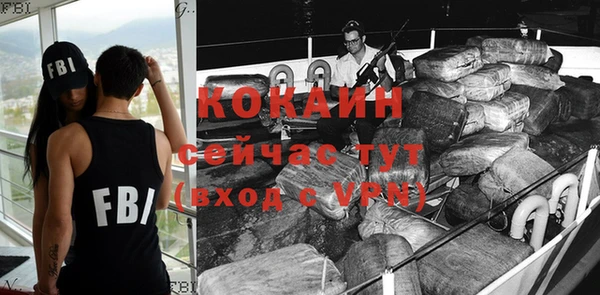 индика Бронницы