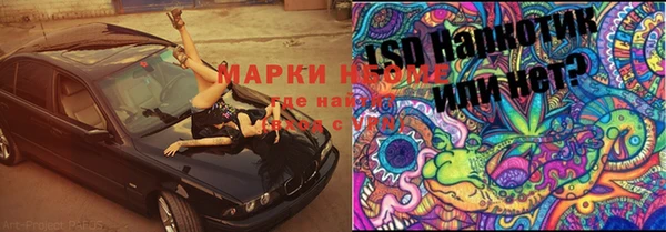 спиды Верея