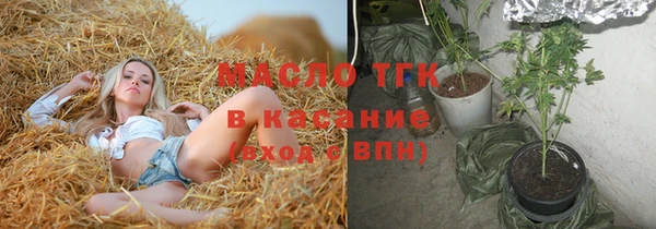 индика Бронницы