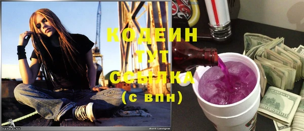 индика Бронницы
