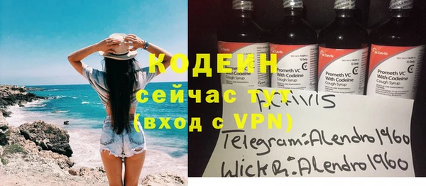 индика Бронницы