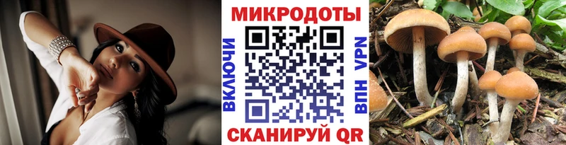 KRAKEN рабочий сайт  Валуйки  Галлюциногенные грибы прущие грибы 