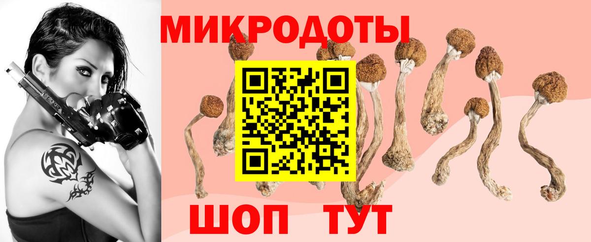 Валуйки  Галлюциногенные грибы ЛСД  Вход с VPN 
